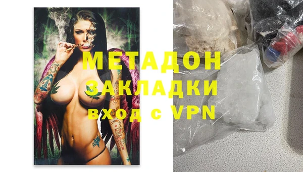 стаф Алзамай