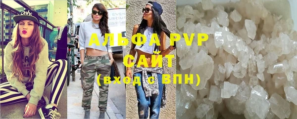 стаф Алзамай