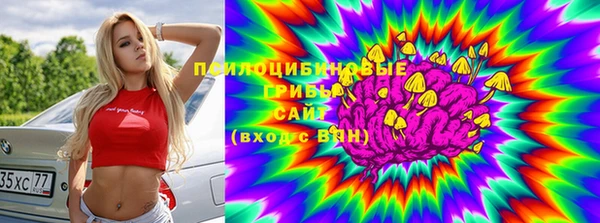 мяу мяу мука Алексин