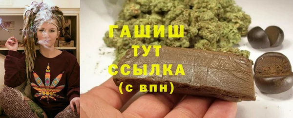 стаф Алзамай