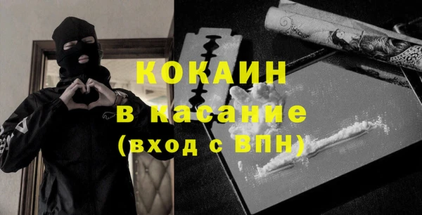 стаф Алзамай