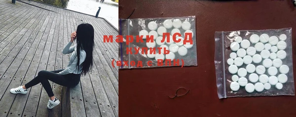стаф Алзамай