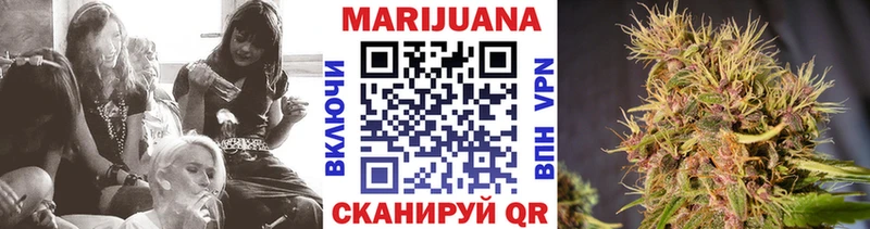 Каннабис сатива  Анадырь 